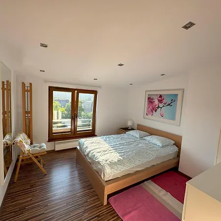 Apartment Olga